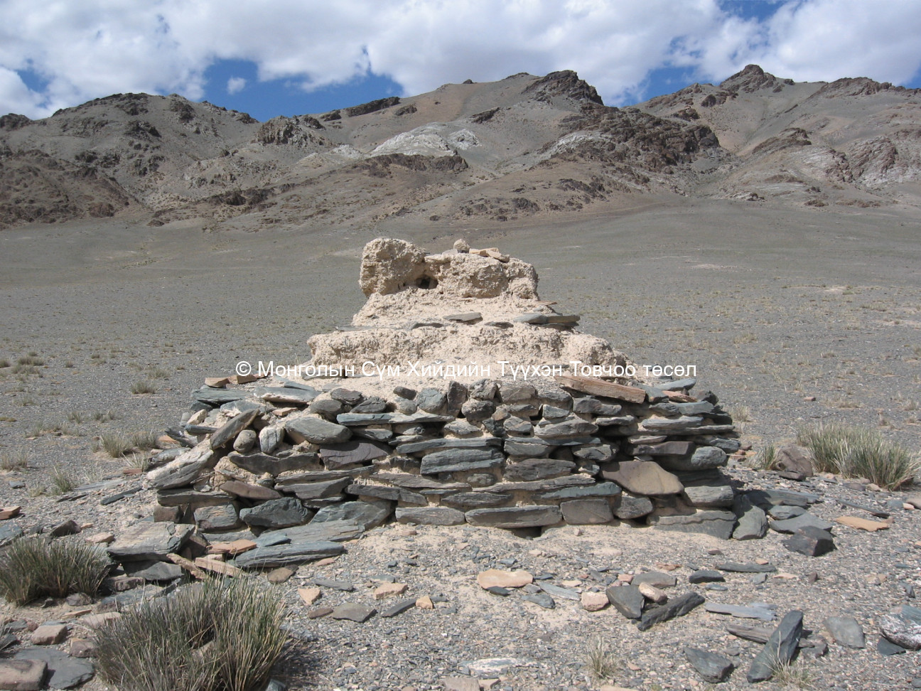 Үлдэгдэл туурь